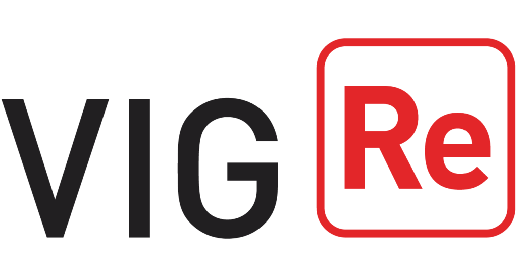 VIG RE